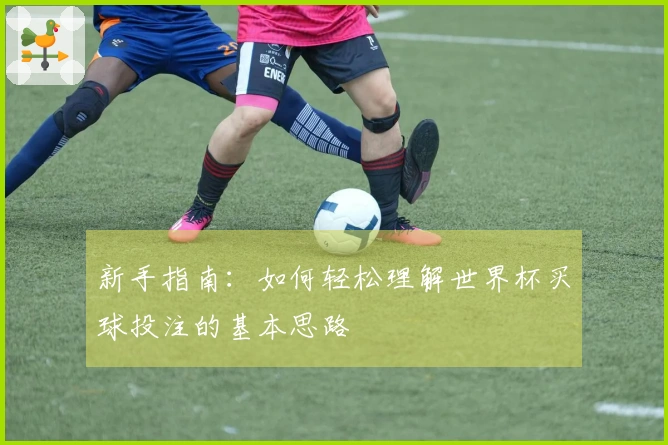 新手指南：如何轻松理解世界杯买球投注的基本思路