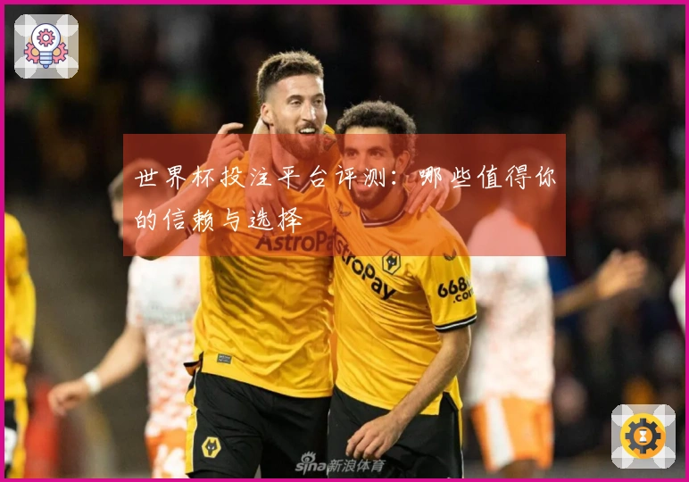世界杯投注平台评测：哪些值得你的信赖与选择