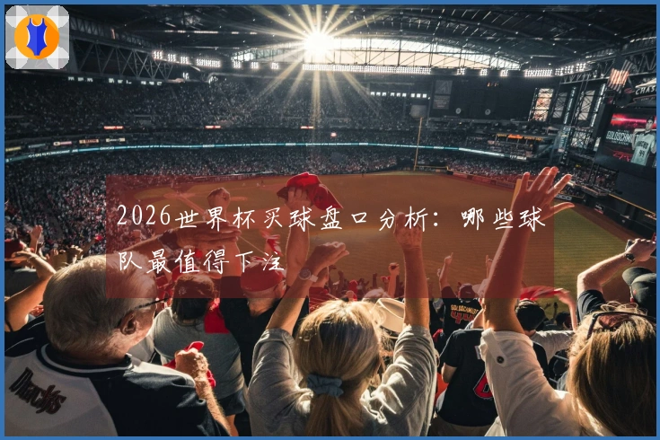 2026世界杯买球盘口分析：哪些球队最值得下注