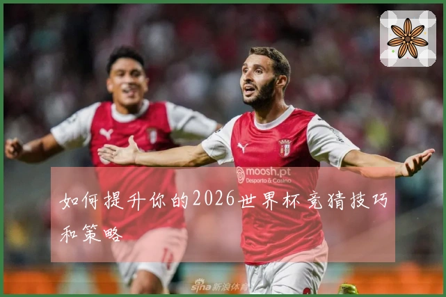 如何提升你的2026世界杯竞猜技巧和策略