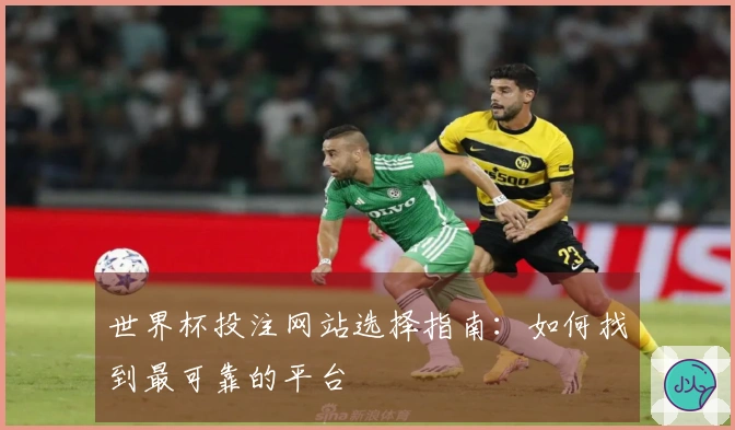 世界杯投注网站选择指南：如何找到最可靠的平台
