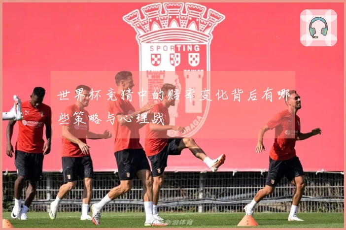世界杯竞猜中的赔率变化背后有哪些策略与心理战